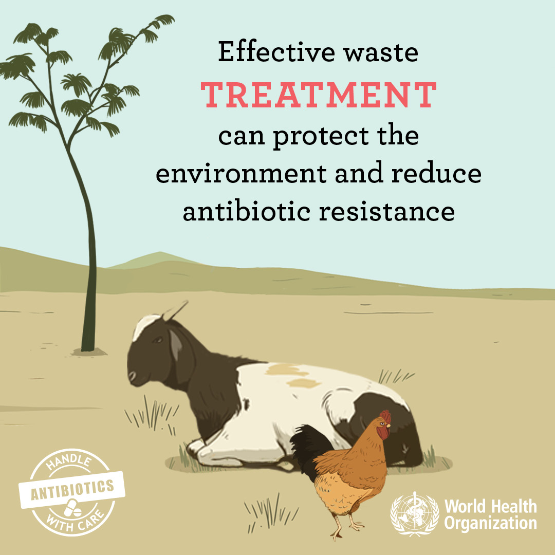 WAAW_SocialMedia_3.2_STILL