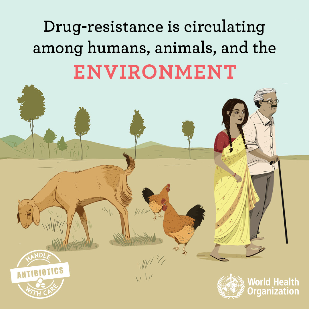 WAAW_SocialMedia_3.3_STILL