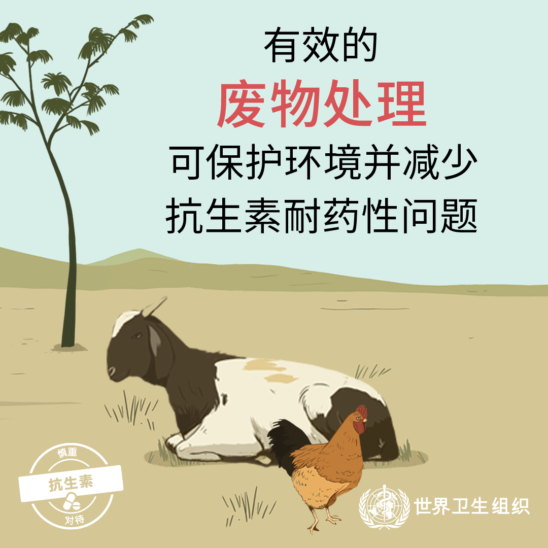 有效的废物处理可保护环境并减少抗生素耐药性问题