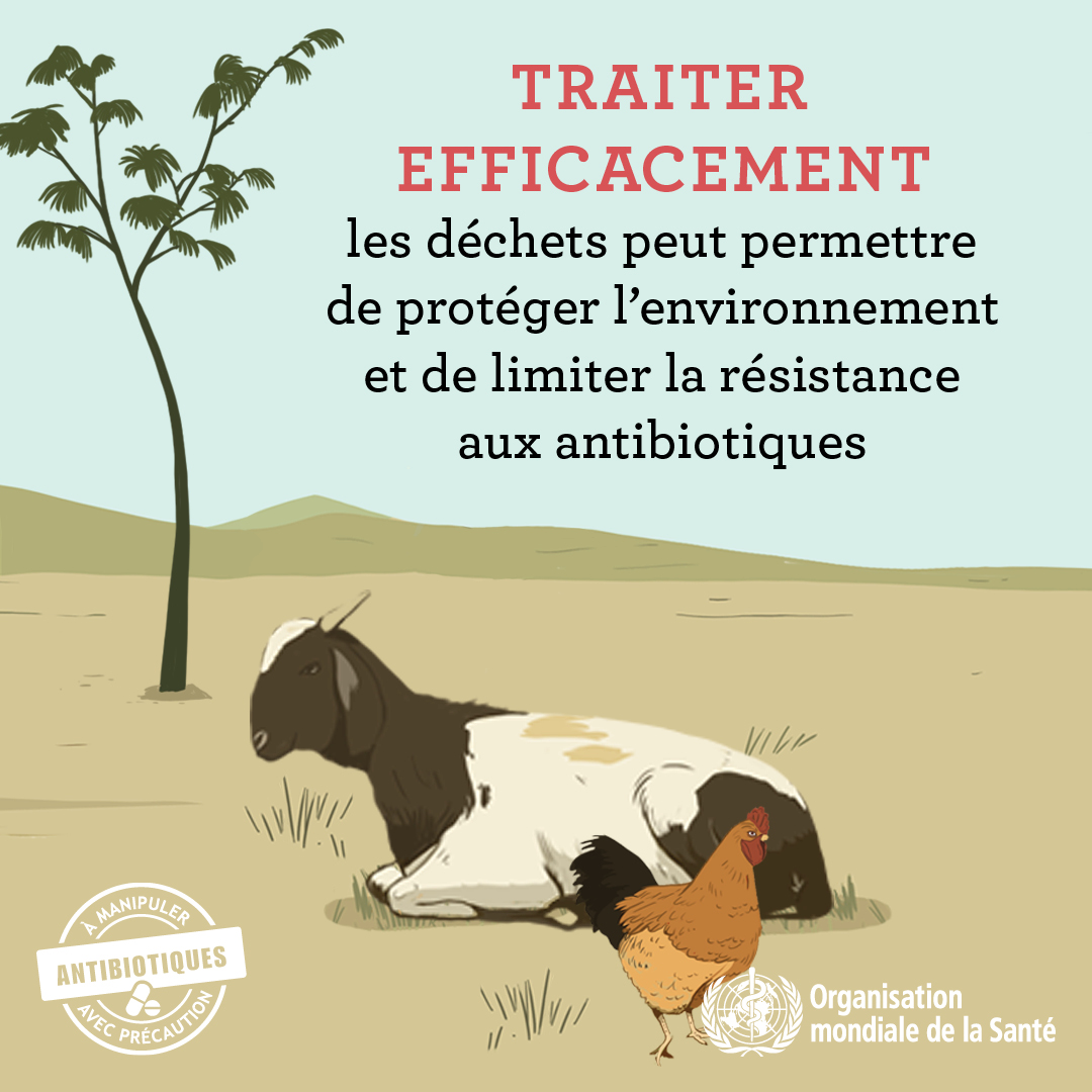 WAAW_SocialMedia_3.2_STILL