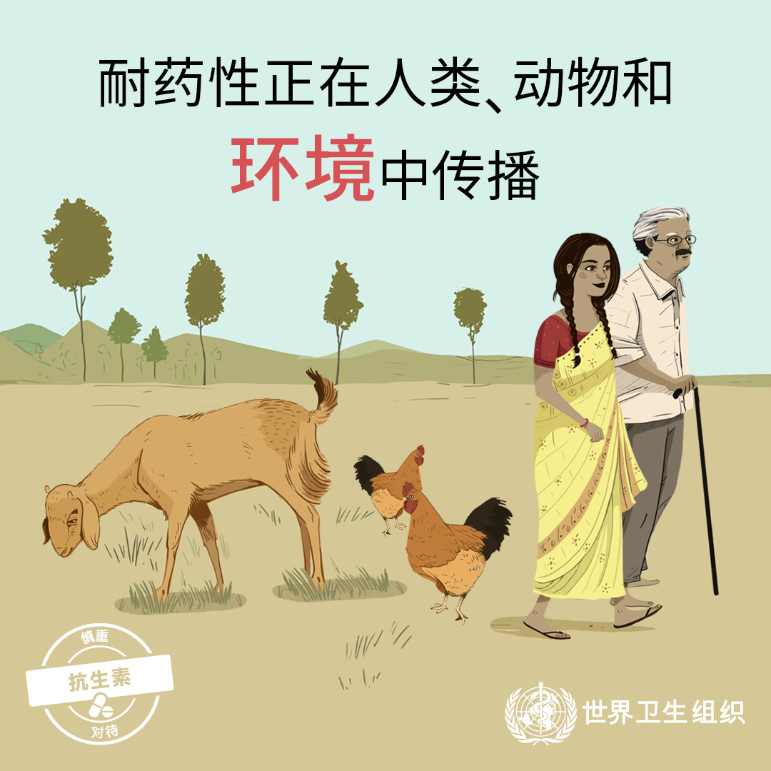 耐药性正在人类、动物和环境中传播