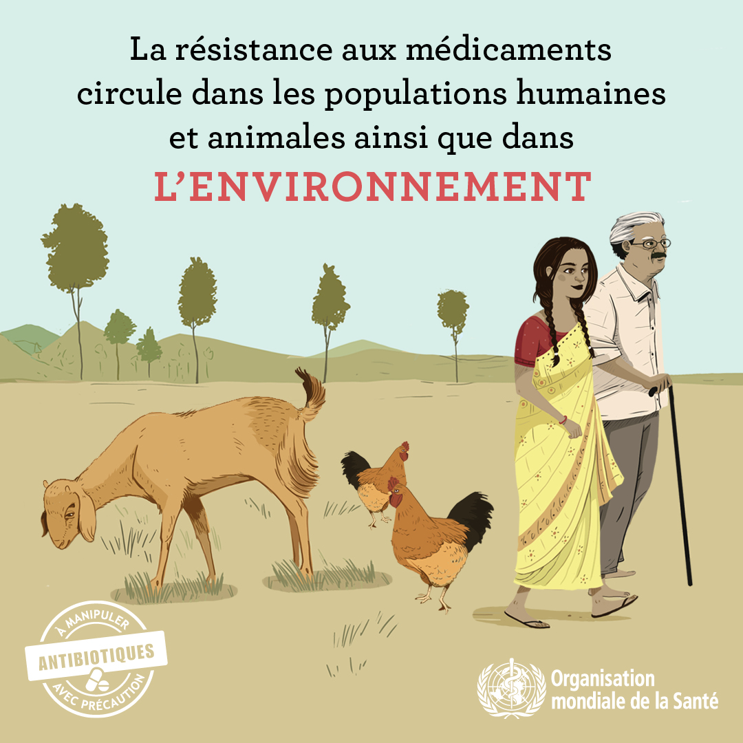 WAAW_SocialMedia_3.3_STILL