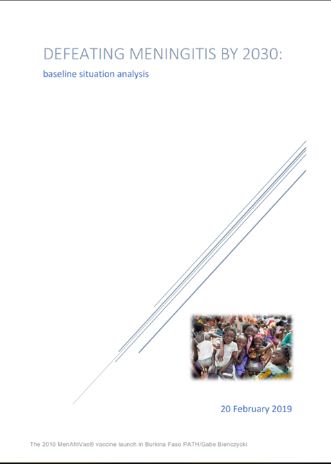 Defeating meningitis by 2030 - baseline situation analysis