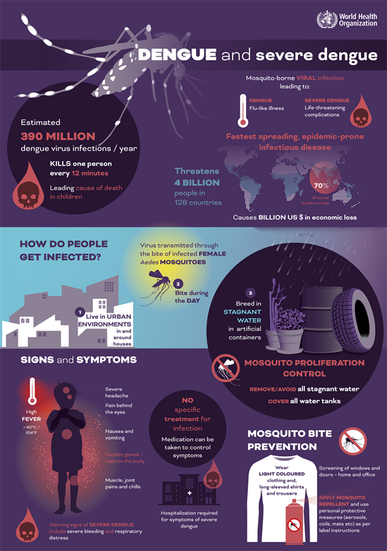 dengue infographic dengue infographic