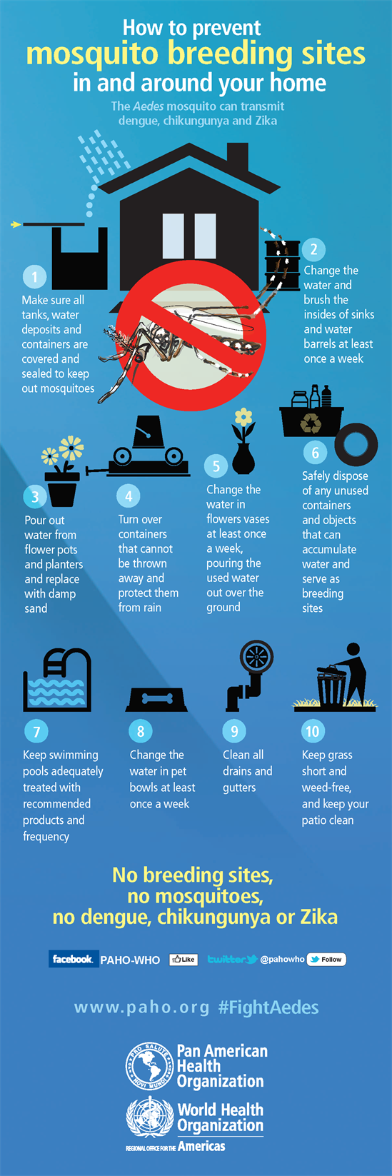 dengue-mosquito-breeding-infographic-eng