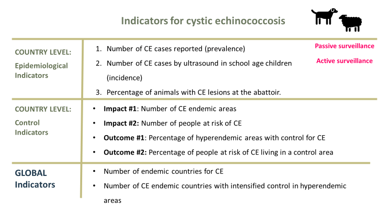 indicators for cystic echinococcosis