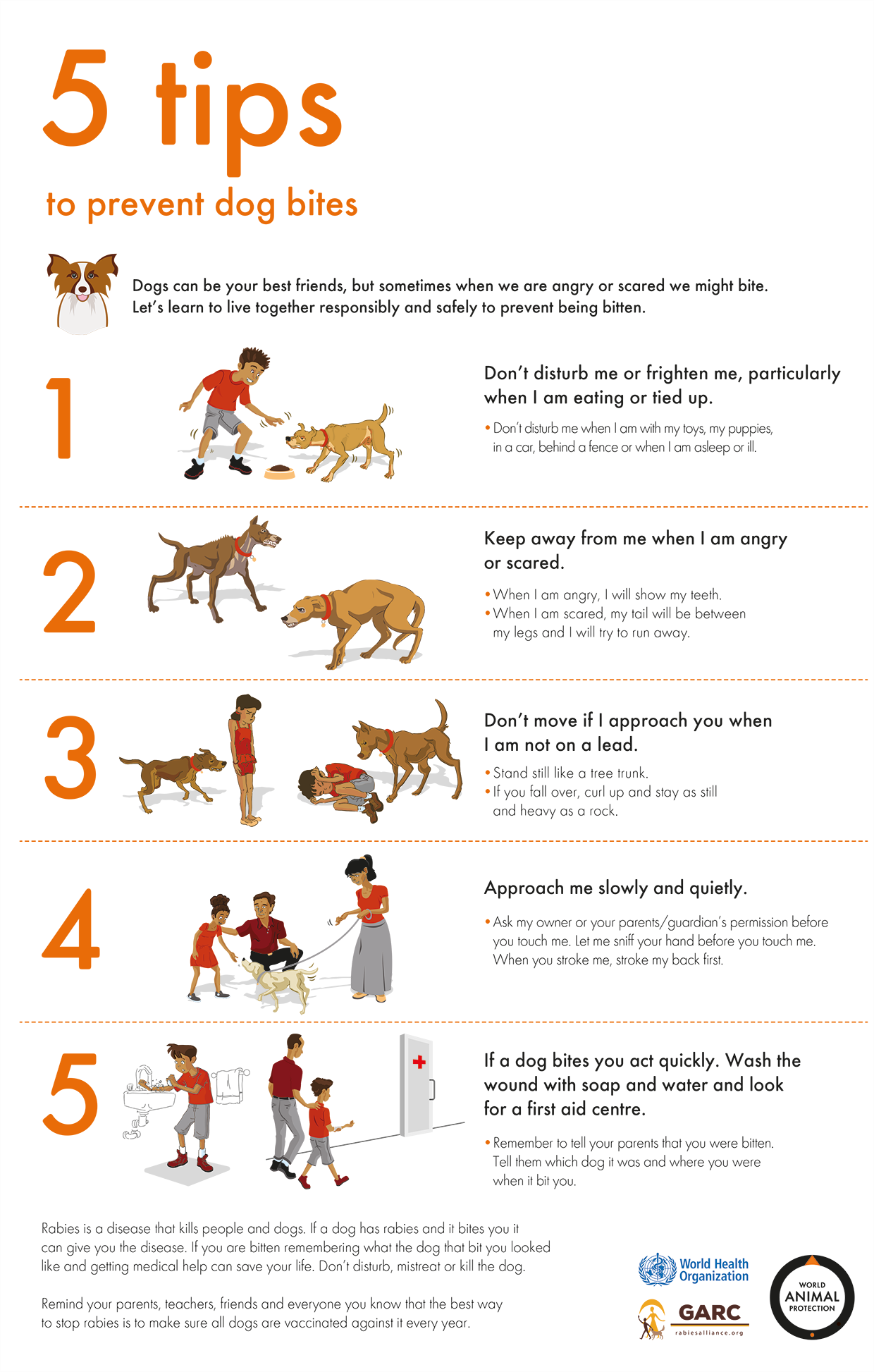 Five tips to prevent dog bite