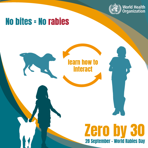 No bite No rabies