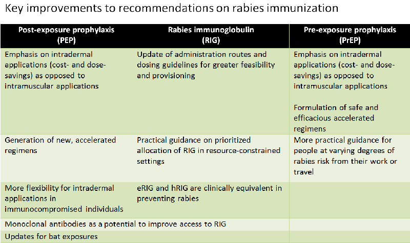 Key improvements to recommendations on rabies immunization
