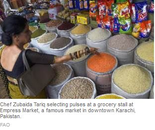 FAOWHO_conference_stresses_need_for_transformation_of_food_systems_across