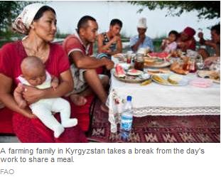 malnutrition-in-the-crosshairs