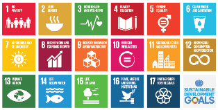 2016_side-event_highlevelpoliticalforum_19jul