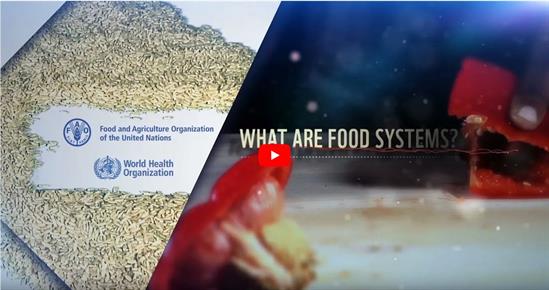 what-are-food-systems