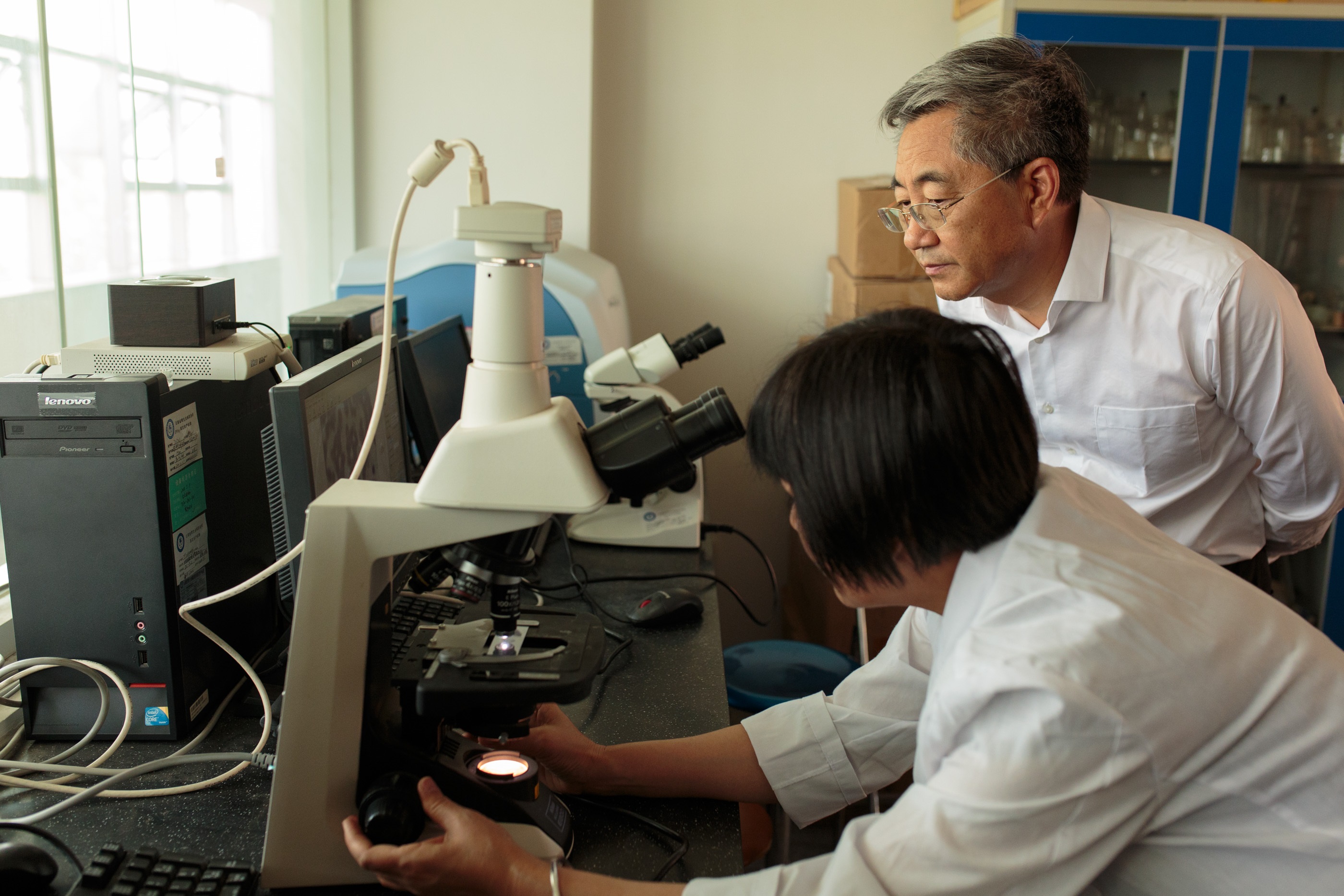 china-malaria-zero-story-2019-1