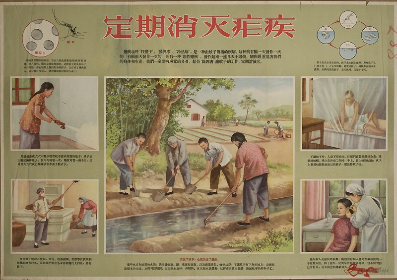 china-malaria-zero-story-2019-2