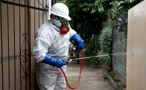 Indoor residual spraying: effective vector control is one of the key components of Argentina's success in eliminating malaria.