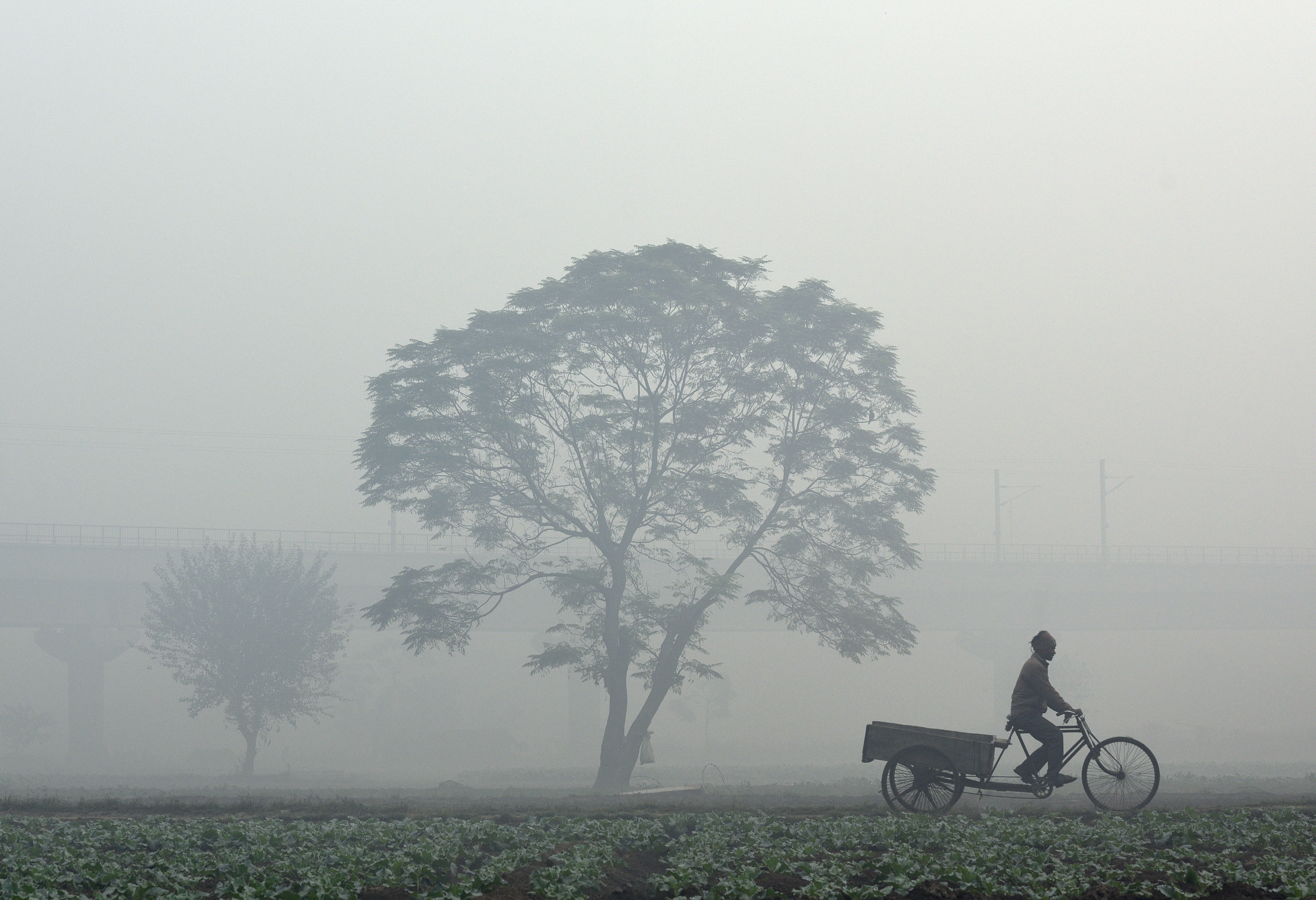 Air pollution in India