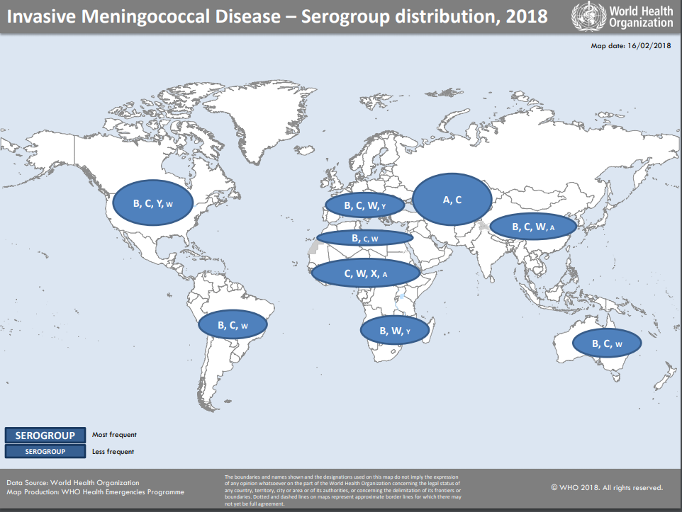meningitis-serogroup