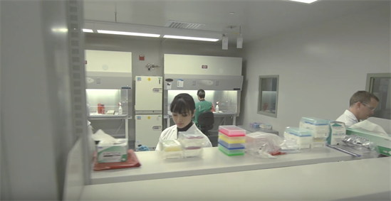 biological safety sabinet incident management