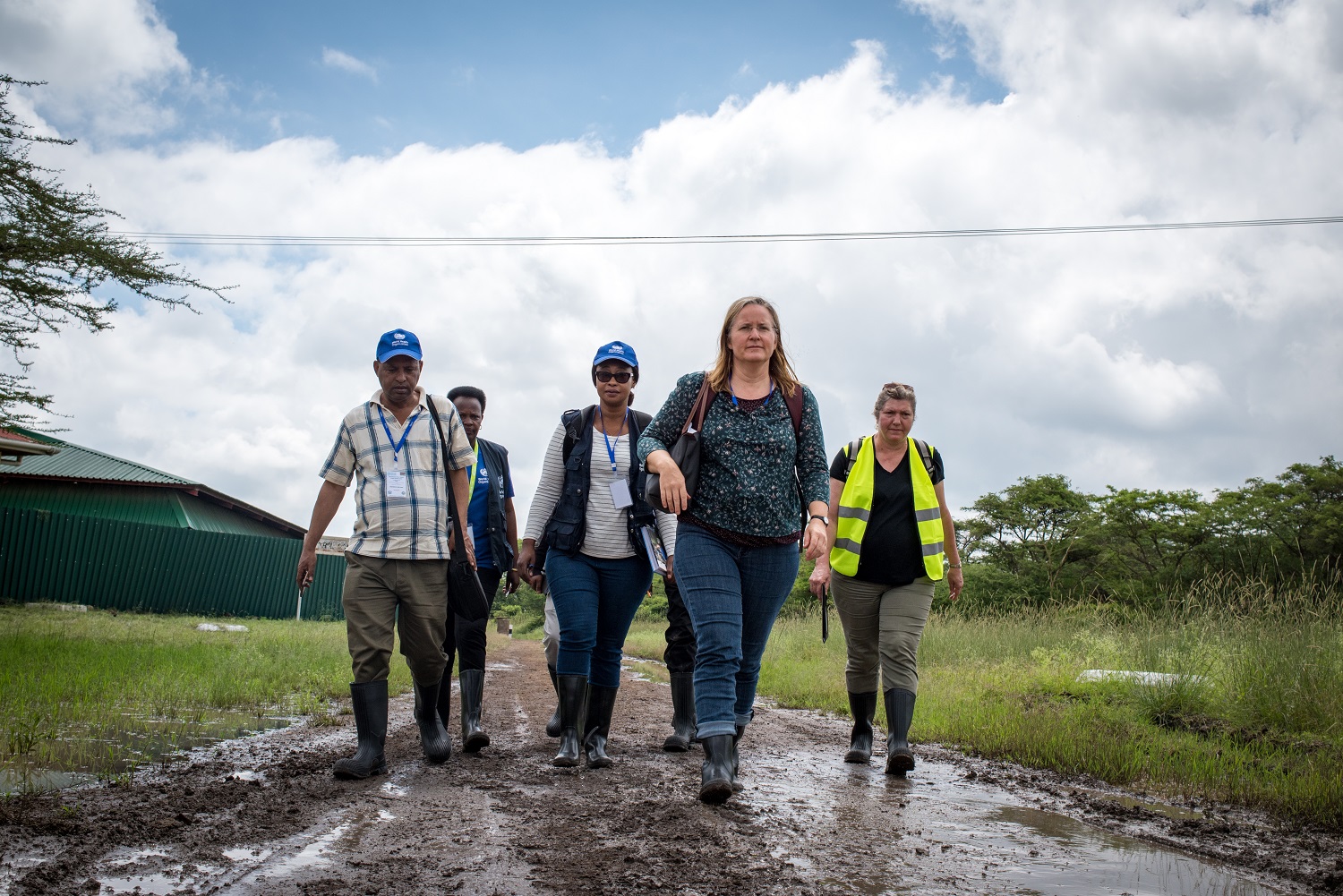 ECN 11 Lindsay Mackenzie