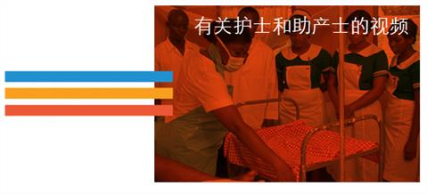 Film Fest Base cat 03