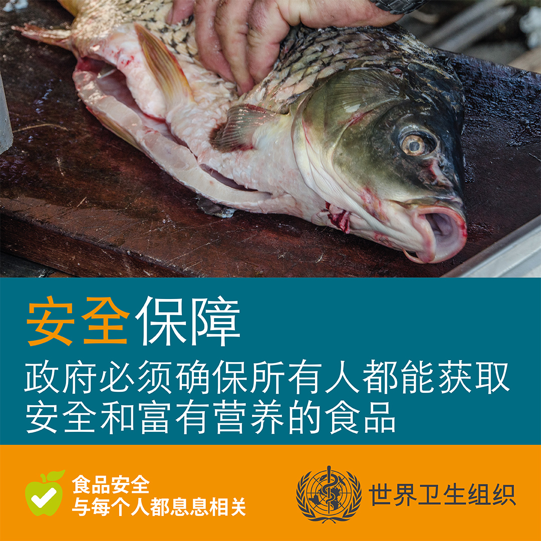 WHO-Ensure-its-Safe-1080x1080px-CHI_final