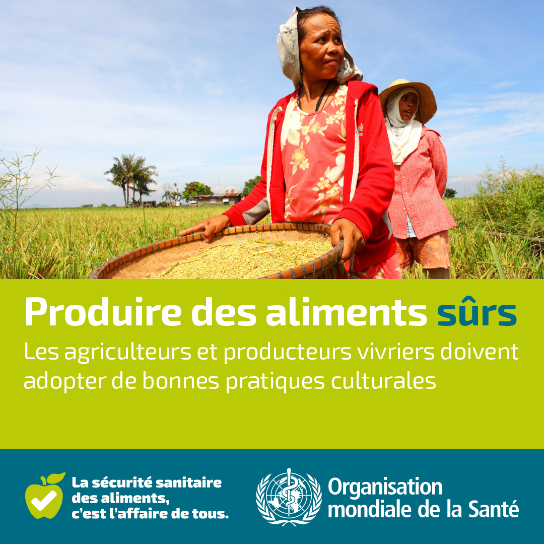 WHO-Grow-it-Safe-1080x1080px-FRE-final