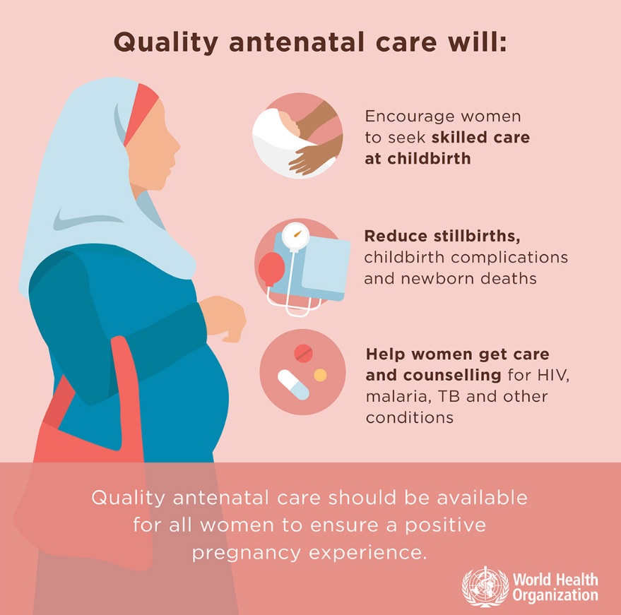 Infographic antenatal care