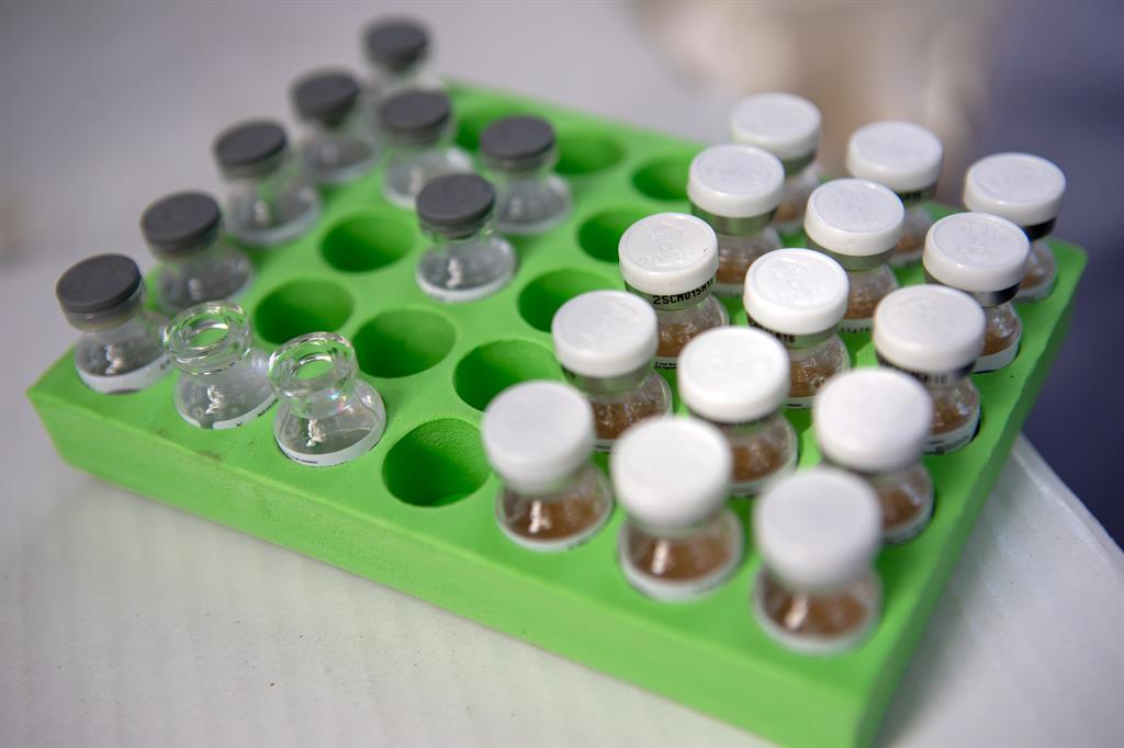 Mozambique cyclone idai doses of oral cholera vaccine