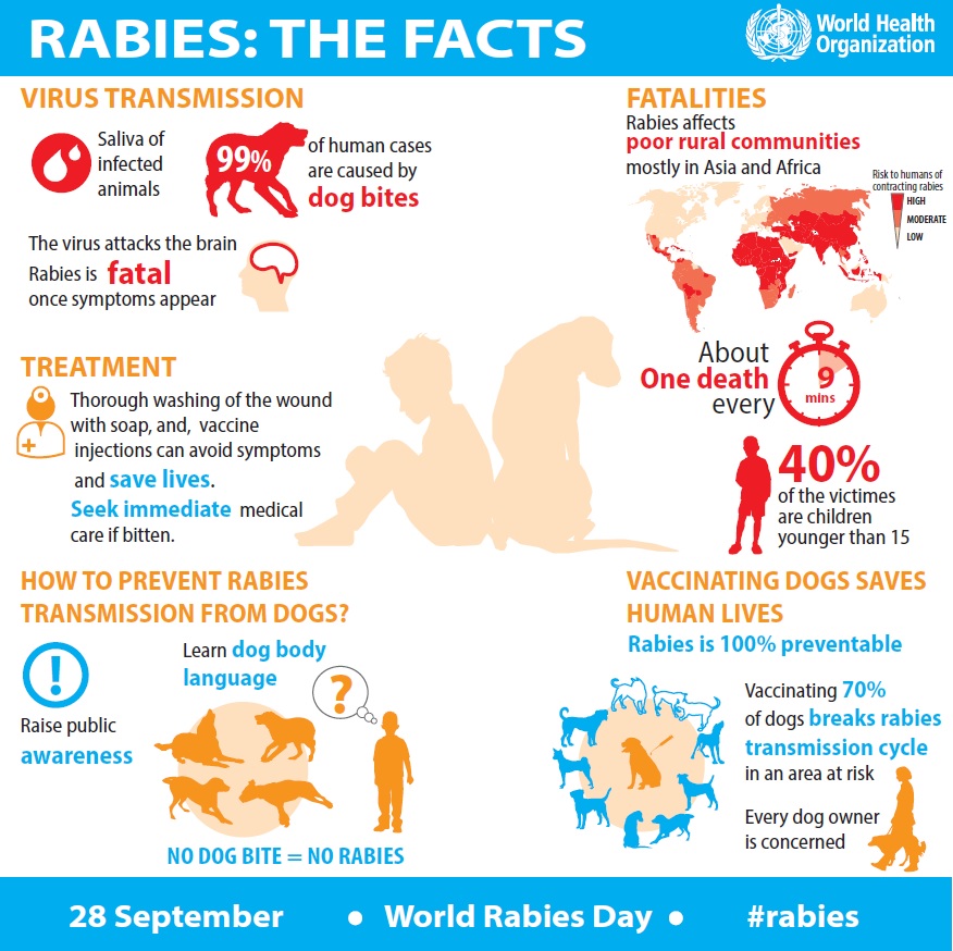 Rabies infographic