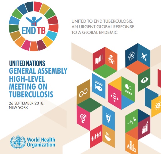 TB high-level event brochure