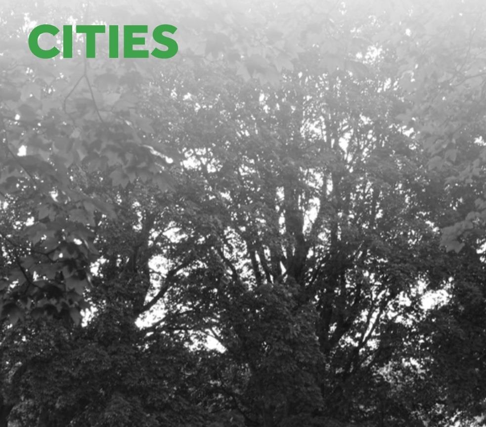 Cities urban health infographic