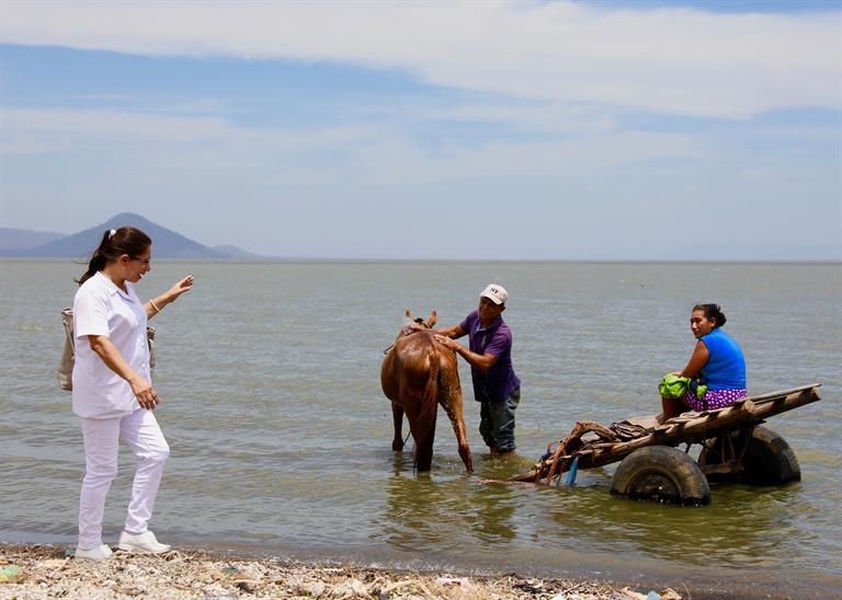 A nurse walking by the Xolotlan Lake in Nicragua, while a horse with a cart, having two people are on it