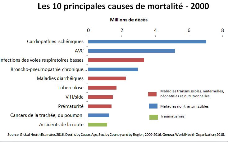 Les 10 principales causes de mortalité dans le monde en 2000