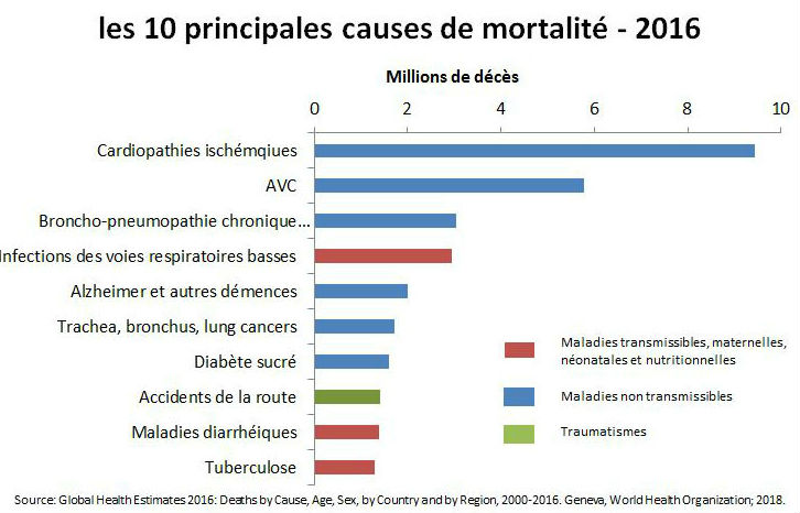 Principales causes de mortalité dans le monde en 2016