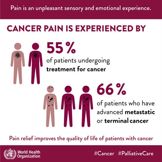 Cancer pain experience