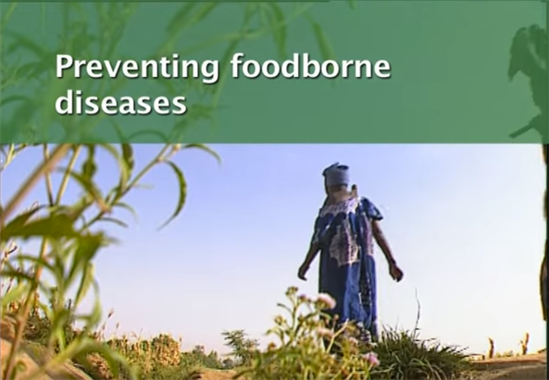 Preventing foodborne disease video thumbnail