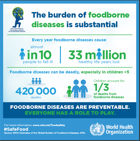 The burden of foodborne diseases EN infographics
