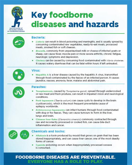 The burden of foodborne diseases EN