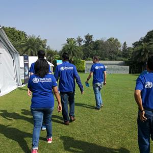 Small photo 1 - Our work