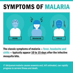 malaria symptoms