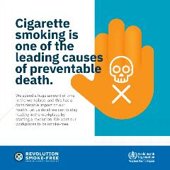 Tobacco infographics  9