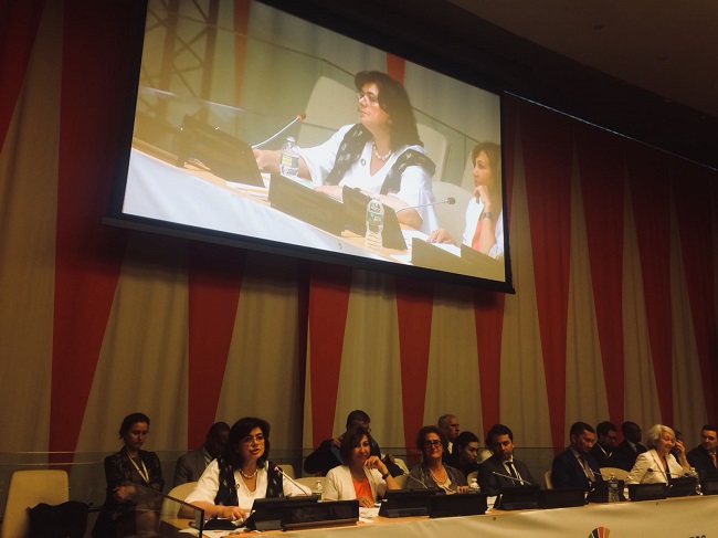 Partnership_Russian_Federation_UN_side_event4