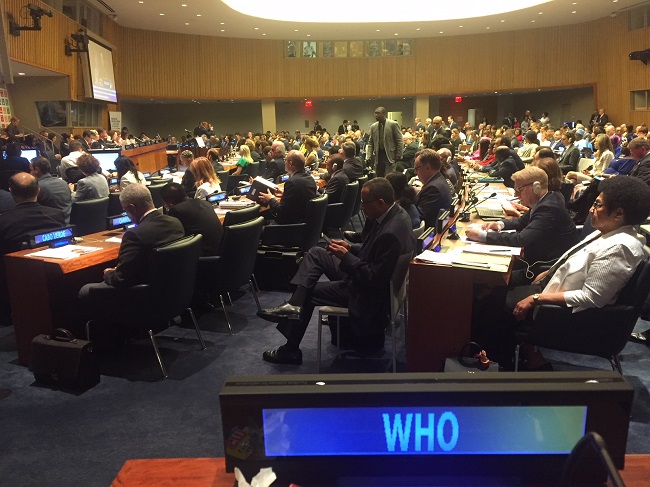 WHO_HLPF1