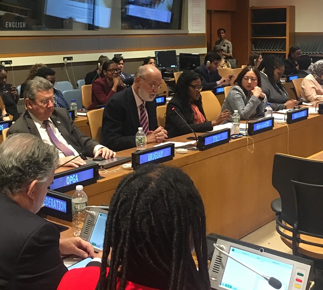 Briefing_UN_Mission42