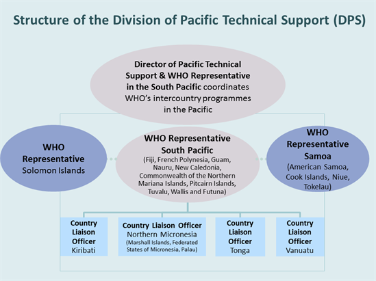 Structure of the Division of Pacific Technical Support