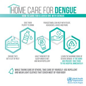Home care for dengue
